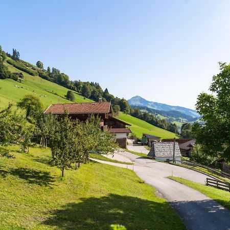 Anderla 1 Wildschoenau Exterior foto