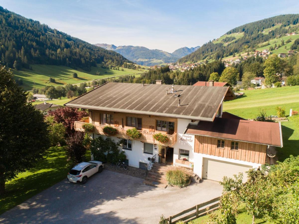 Anderla 1 Wildschoenau Exterior foto
